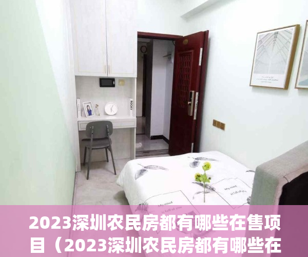 2023深圳农民房都有哪些在售项目（2023深圳农民房都有哪些在售）(深圳农民房出售最新低于30万)