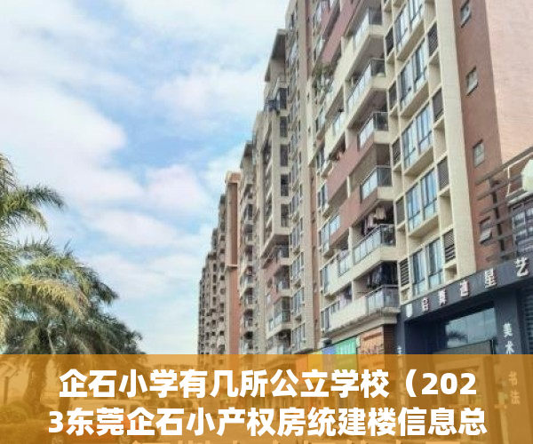 企石小学有几所公立学校(2023东莞企石小产权房统建楼信息总览表!)