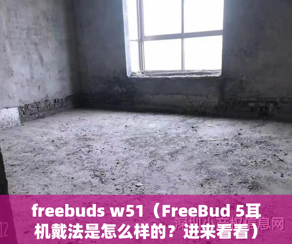 freebuds w51（FreeBud 5耳机戴法是怎么样的？进来看看）