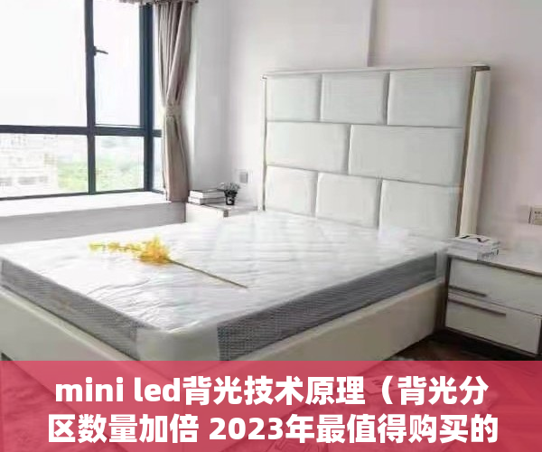 mini led背光技术原理（背光分区数量加倍 2023年最值得购买的Mini LED电视TCL Q10G Pro发布）