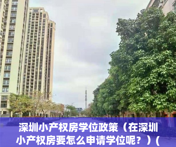 深圳小产权房学位政策（在深圳小产权房要怎么申请学位呢？）(深圳小产权房如何申请学位)