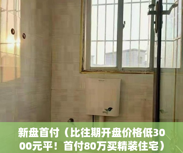 新盘首付（比往期开盘价格低3000元平！首付80万买精装住宅）(新楼盘的首付都在多少)