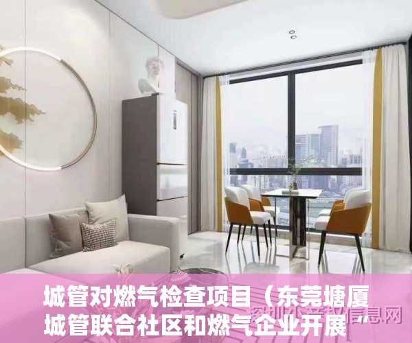 城管对燃气检查项目（东莞塘厦城管联合社区和燃气企业开展“燃气入户安检”）