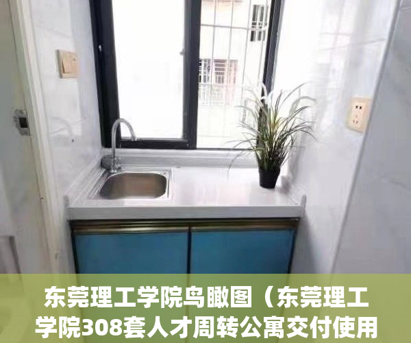 东莞理工学院鸟瞰图（东莞理工学院308套人才周转公寓交付使用）(东莞理工学院百度贴吧)