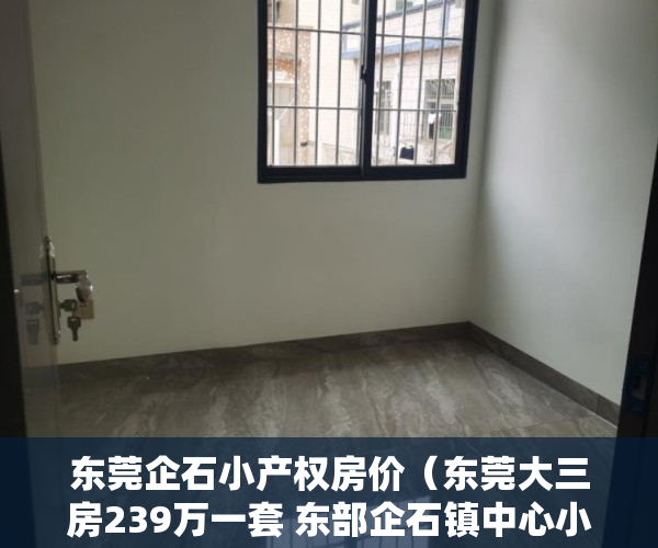 东莞企石小产权房价（东莞大三房239万一套 东部企石镇中心小产权房）