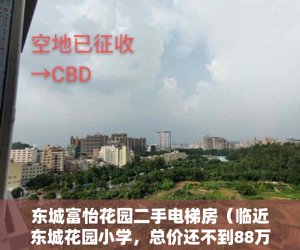 东城富怡花园二手电梯房（临近东城花园小学，总价还不到88万，富怡花园踩盘）