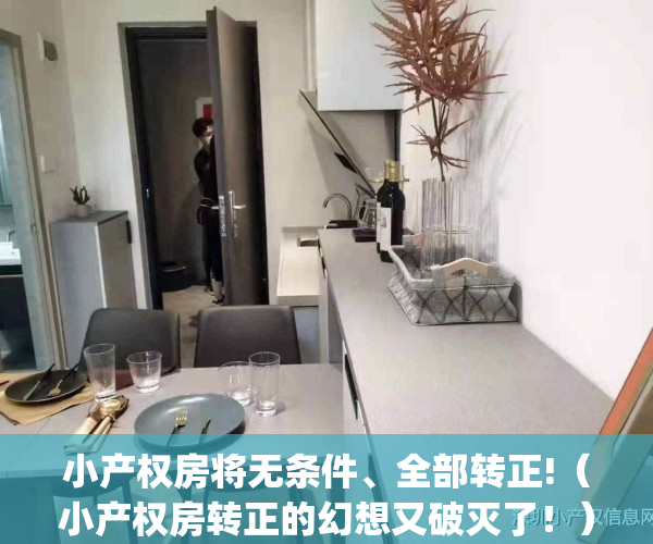 小产权房将无条件、全部转正!（小产权房转正的幻想又破灭了！）(小产权房转正最新政策官方公布)