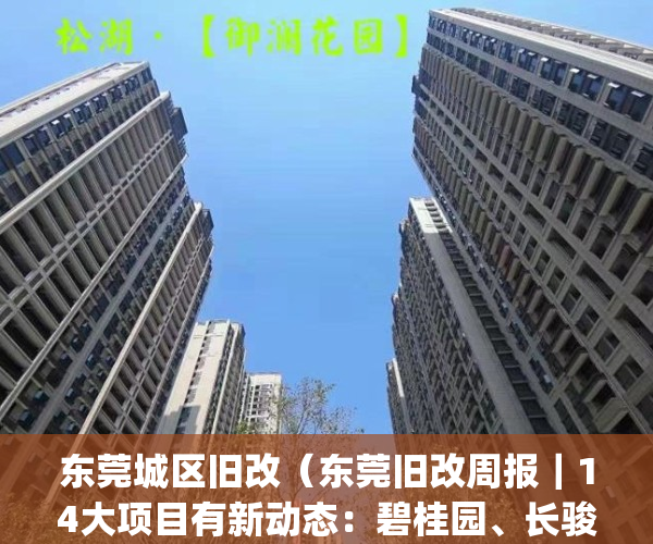 东莞城区旧改（东莞旧改周报｜14大项目有新动态：碧桂园、长骏等操刀）(东莞城区旧改爆发)