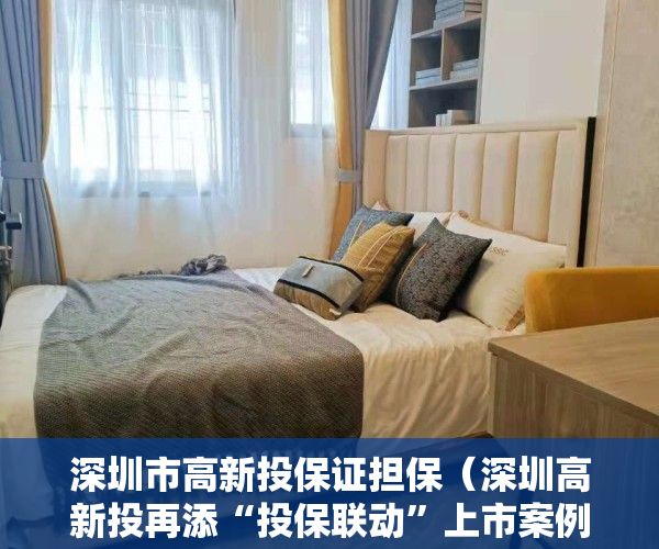 深圳市高新投保证担保（深圳高新投再添“投保联动”上市案例：“小巨人”凌雄科技今日登陆港交所主板）