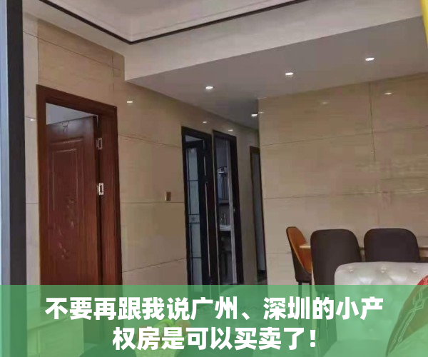 不要再跟我说广州、深圳的小产权房是可以买卖了！