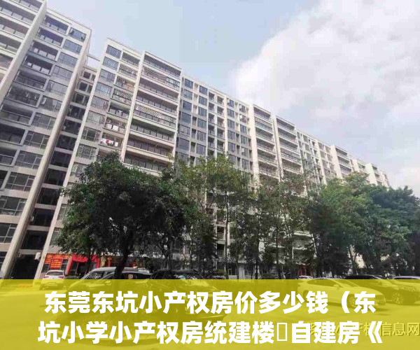 东莞东坑小产权房价多少钱（东坑小学小产权房统建楼​自建房《世纪豪庭》东坑镇中心广场小产权房东坑中心小学旁小产权房​三栋大型统建楼发绿本免费停车位）