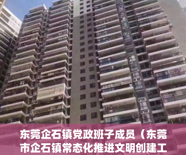 东莞企石镇党政班子成员（东莞市企石镇常态化推进文明创建工作）(东莞企石镇镇长调整)