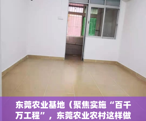 东莞农业基地（聚焦实施“百千万工程”，东莞农业农村这样做）(东莞农业大县)