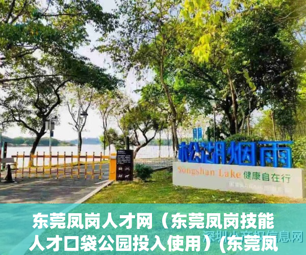 东莞凤岗人才网（东莞凤岗技能人才口袋公园投入使用）(东莞凤岗人才市场)