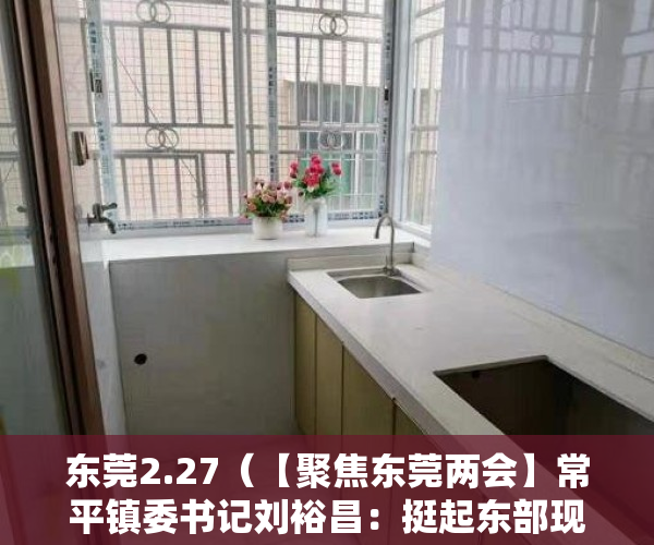 东莞2.27（【聚焦东莞两会】常平镇委书记刘裕昌：挺起东部现代化建设的产业“脊梁”）