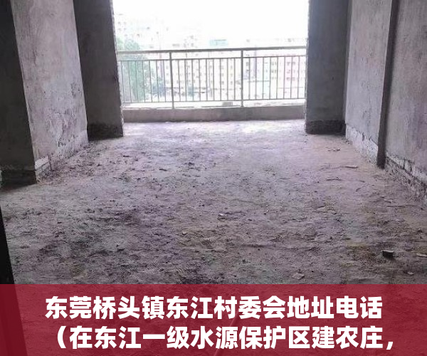 东莞桥头镇东江村委会地址电话（在东江一级水源保护区建农庄，东莞桥头拆除违建五千余平方米！）