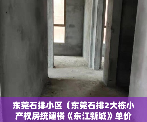 东莞石排小区（东莞石排2大栋小产权房统建楼《东江新城》单价3580一平起售， 封闭式小区房，户型方正，配套齐全，一线江景房 马路第一排 通燃气）