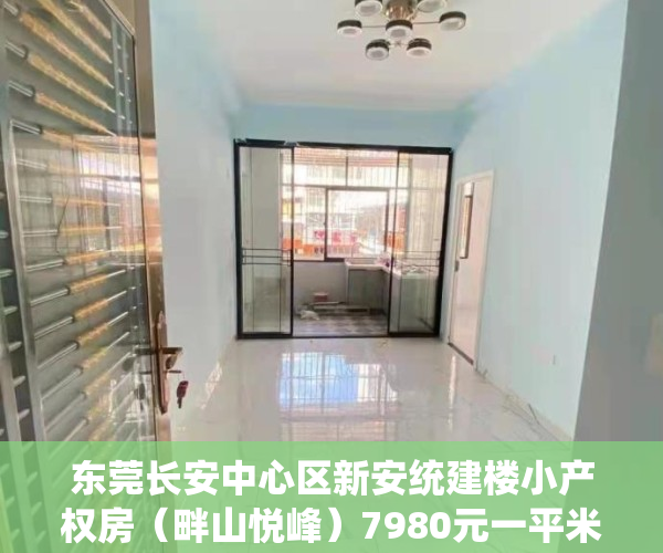 东莞长安中心区新安统建楼小产权房（畔山悦峰）7980元一平米出售-现房可分期