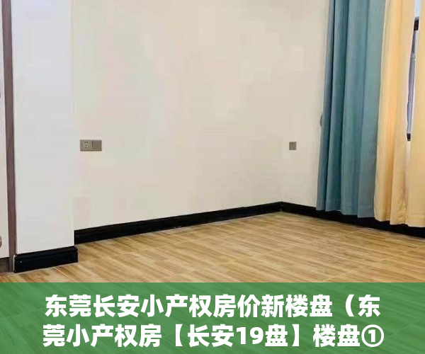 东莞长安小产权房价新楼盘（东莞小产权房【长安19盘】楼盘①：7栋大型花园小区精装均价9500‼️；楼盘②）