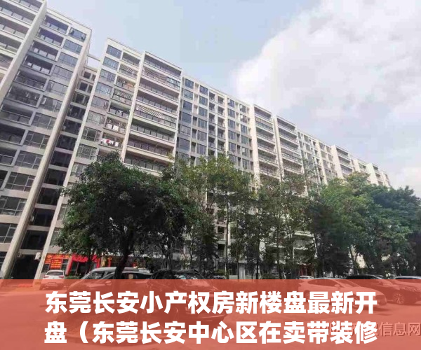 东莞长安小产权房新楼盘最新开盘（东莞长安中心区在卖带装修统建楼小产权房出售长安新安社区在卖集资自建小产权房出售长安中心区带装修统建楼小产权房出售）