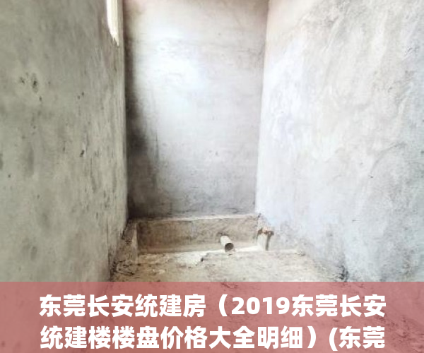 东莞长安统建房（2019东莞长安统建楼楼盘价格大全明细）(东莞长安村委统建房)