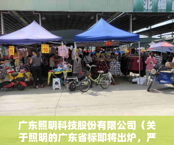 广东照明科技股份有限公司（关于照明的广东省标即将出炉，严禁光污染，控制眩光）