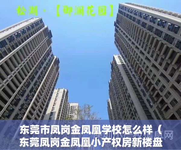 东莞市凤岗金凤凰学校怎么样（东莞凤岗金凤凰小产权房新楼盘出售【东凤豪庭】70年产权合作建房，证件齐全，律师见证 安全保障 ，十分钟到龙岗 五分钟上高速！）