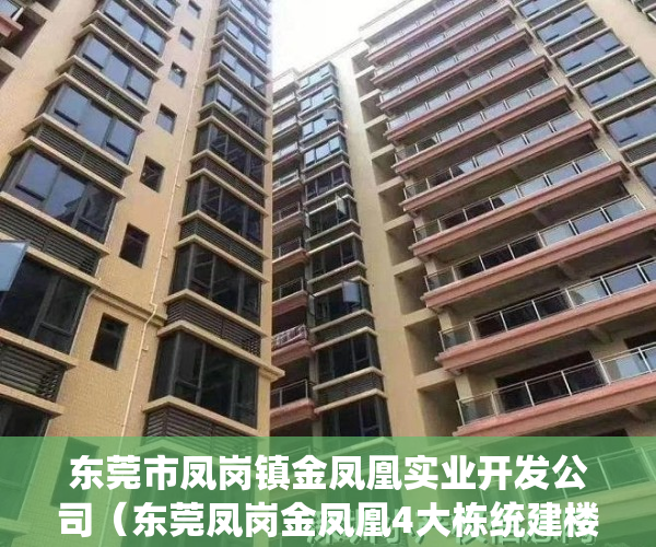 东莞市凤岗镇金凤凰实业开发公司（东莞凤岗金凤凰4大栋统建楼小产权房【凤凰国际】首付88万起，带地下停车场、管道天然气，无条件分期）