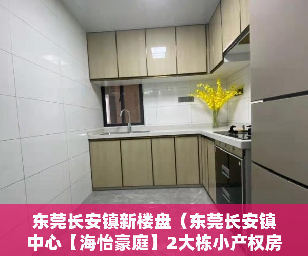 东莞长安镇新楼盘（东莞长安镇中心【海怡豪庭】2大栋小产权房最新开盘出售）