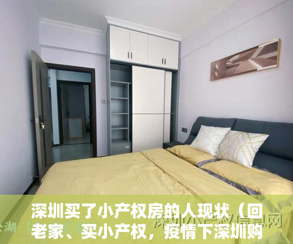 深圳买了小产权房的人现状（回老家、买小产权，疫情下深圳购房者的挣扎和求生）
