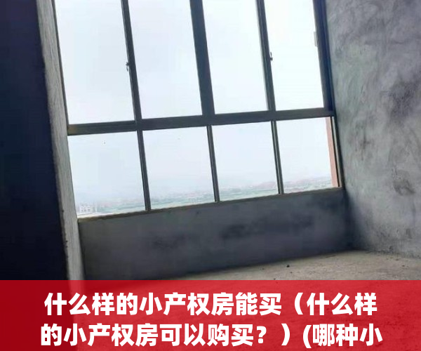 什么样的小产权房能买（什么样的小产权房可以购买？）(哪种小产权房可以买?)