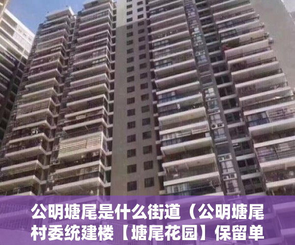 公明塘尾是什么街道（公明塘尾村委统建楼【塘尾花园】保留单位～精装修）