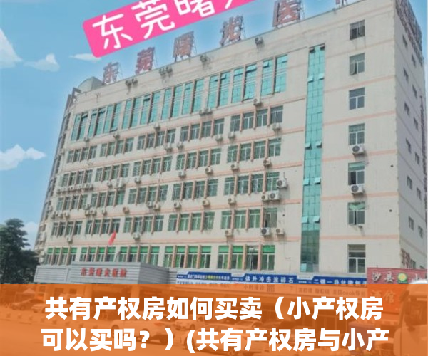 共有产权房如何买卖（小产权房可以买吗？）(共有产权房与小产权房区别)