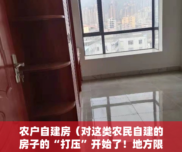 农户自建房（对这类农民自建的房子的“打压”开始了！地方限制农民自建房和小产权房了。）