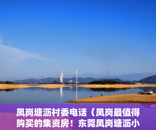 凤岗塘沥村委电话（凤岗最值得购买的集资房！东莞凤岗塘沥小产权房新盘「凤雅苑」2房48万一套出售，70年产权合作建房  户型方正大阳台南北通透）