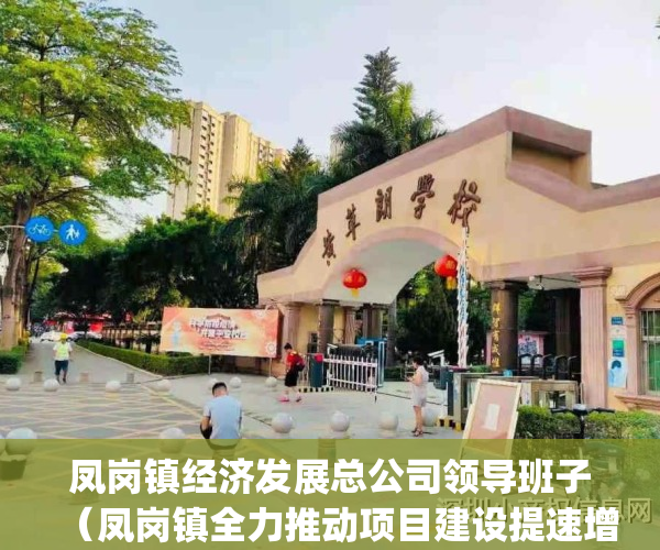 凤岗镇经济发展总公司领导班子（凤岗镇全力推动项目建设提速增效）(凤岗镇党委)