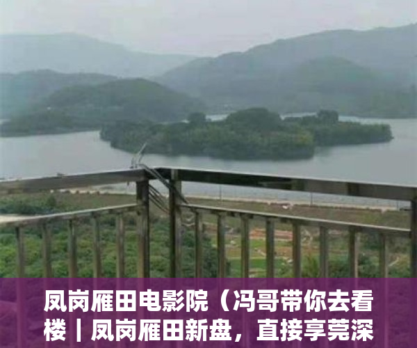 凤岗雁田电影院（冯哥带你去看楼｜凤岗雁田新盘，直接享莞深融城福利）
