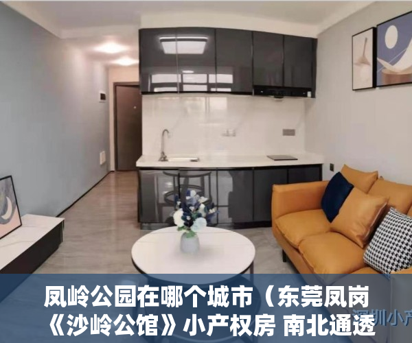 凤岭公园在哪个城市（东莞凤岗《沙岭公馆》小产权房 南北通透双阳台单价6000元）
