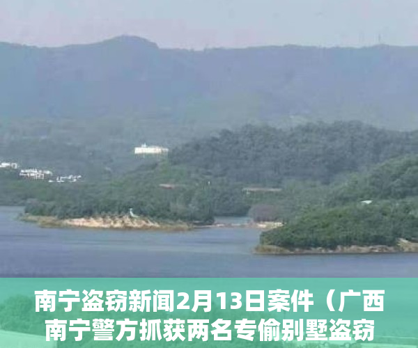 南宁盗窃新闻2月13日案件（广西南宁警方抓获两名专偷别墅盗窃犯 追回价值80万元名画、名酒）