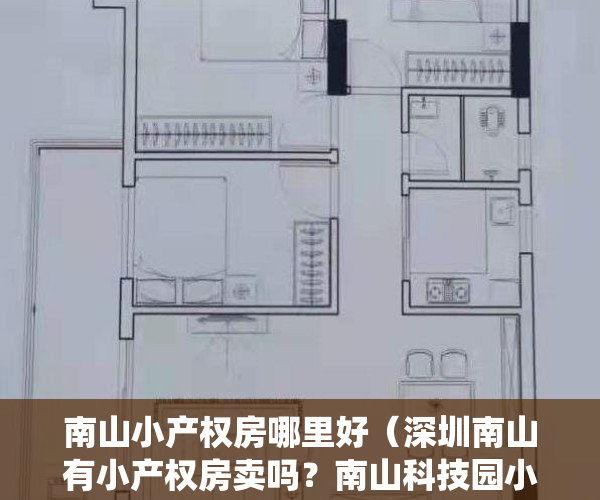 南山小产权房哪里好（深圳南山有小产权房卖吗？南山科技园小产权房【前海国际】二期现房发售，市区在售统建楼，一手新房，带装修的小产权房，集体大红本产权）