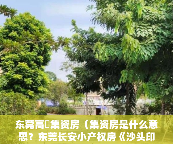 东莞高埗集资房（集资房是什么意思？东莞长安小产权房《沙头印象》无暗房 带停车场 交通出行方便，停车方便，生活配套齐全 轻轨地铁物业 长安统建楼）