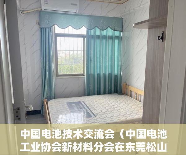 中国电池技术交流会（中国电池工业协会新材料分会在东莞松山湖成立）