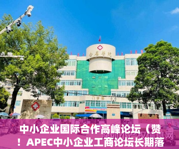 中小企业国际合作高峰论坛（赞！APEC中小企业工商论坛长期落户深圳）(首届中小企业国际合作高峰论坛)