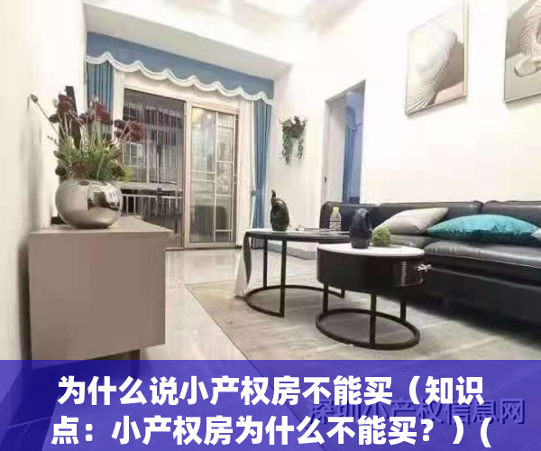 为什么说小产权房不能买（知识点：小产权房为什么不能买？）(小产权房为什么不能买?有什么风险吗)