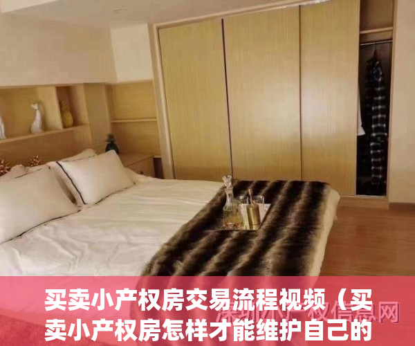 买卖小产权房交易流程视频（买卖小产权房怎样才能维护自己的权利）(买卖小产权房子怎样写协议)