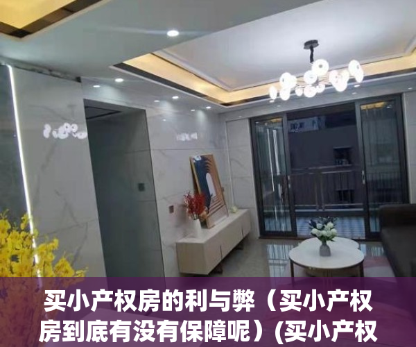 买小产权房的利与弊（买小产权房到底有没有保障呢）(买小产权房好不好?)