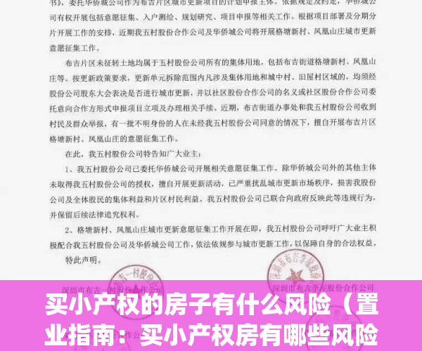 买小产权的房子有什么风险（置业指南：买小产权房有哪些风险？）(买小产权房子好不好)