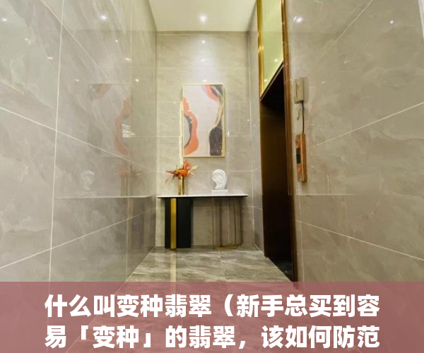 什么叫变种翡翠（新手总买到容易「变种」的翡翠，该如何防范才好？）(变种的翡翠会是什么样子)