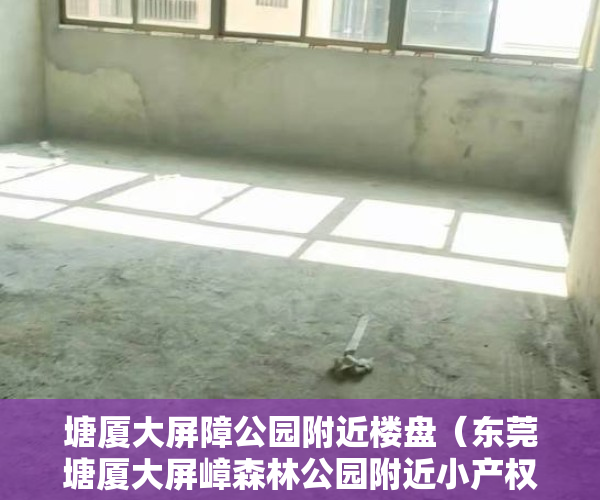 塘厦大屏障公园附近楼盘（东莞塘厦大屏嶂森林公园附近小产权房【黎光雅苑】湖景房特价4780一平）