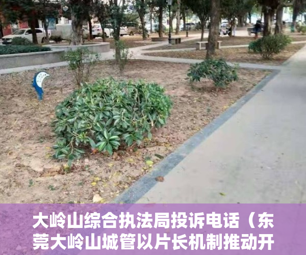 大岭山综合执法局投诉电话（东莞大岭山城管以片长机制推动开展“小微执法”）
